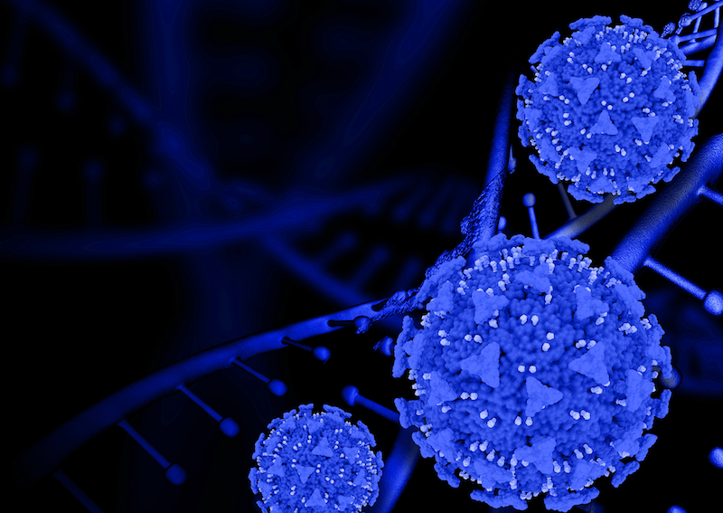 Genomics in Cancer Research: Opportunities for Diagnosis and Treatment